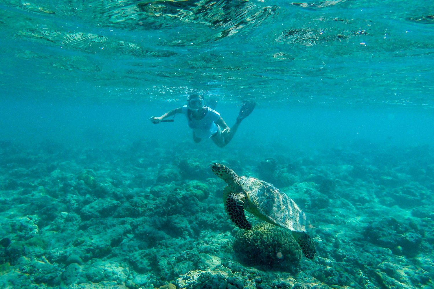 Gili Snorkeling Tour