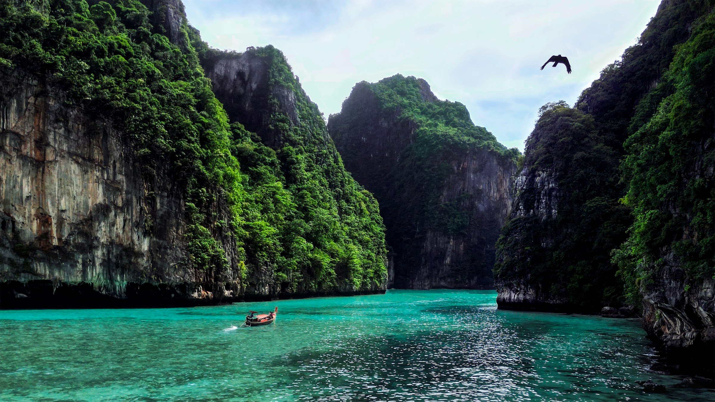 MYH Strength in Thailand